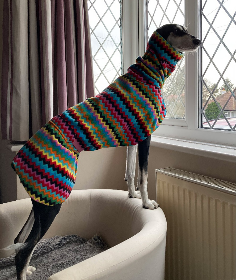 Stripe dog fleece