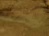 Short Pile Fur Fabric - Antelope