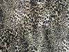 Allover Animal Cotton Print, Leopard Cub