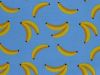 Electric Safari Bananas Cotton Print, Blue