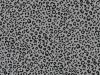 Mini Leopard Spots Cotton Poplin Print, Grey