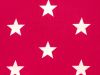 Craft Collection Cotton Print, Large Star, Cerise