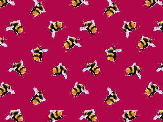 Craft Collection Cotton Print, Neon Bumble Bee, Cerise