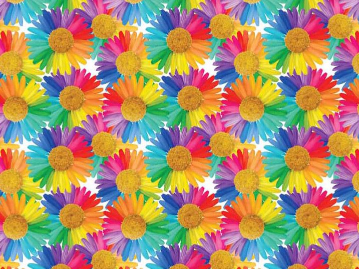 Rainbow Daisies Cotton Print