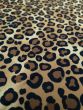 Allover Animal Cotton Print, Leopard Cub