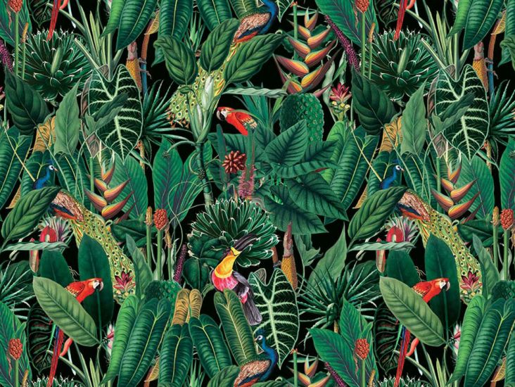 Exotic Jungle Cotton Print, Rain Forest Birds, Black