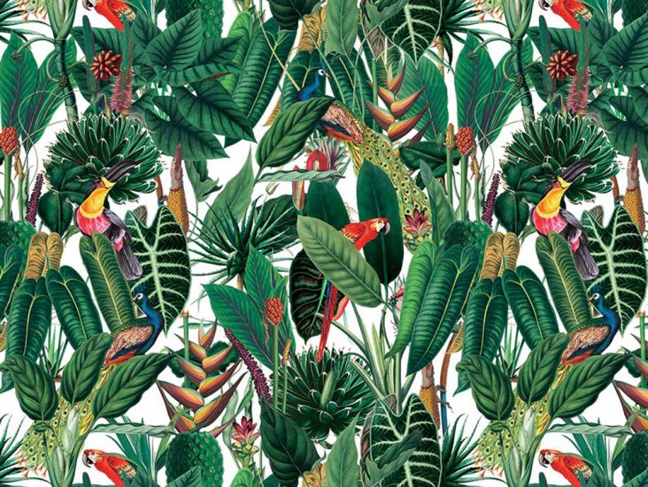 Exotic Jungle Cotton Print, Rain Forest Birds, White