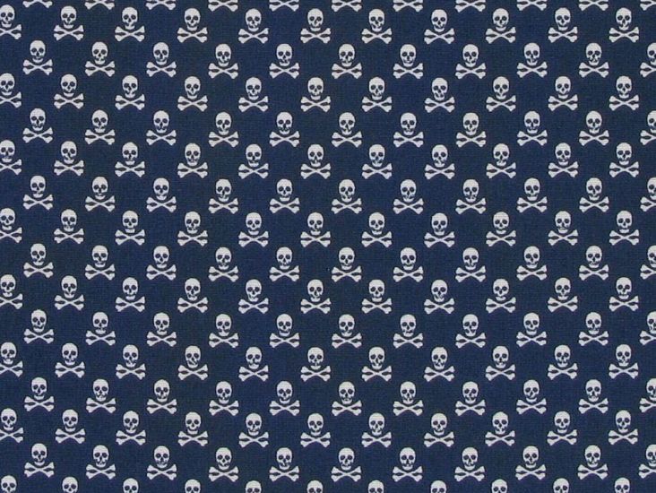 Mini Skull And Crossbones Cotton Poplin Print, Navy