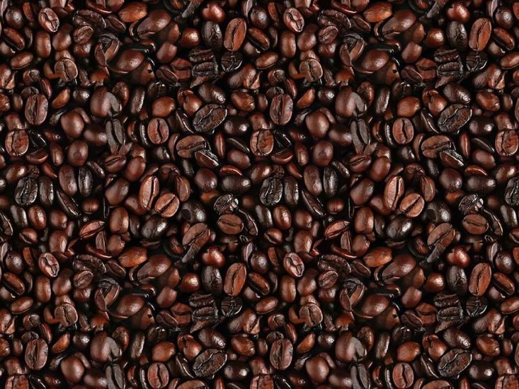 Allover Coffee Beans Cotton Print