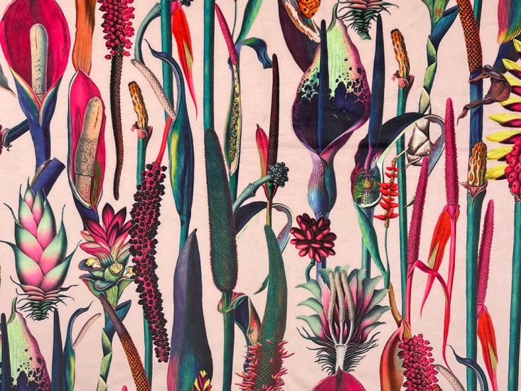 Botanical Wonders Printed Velvet, Baby Pink