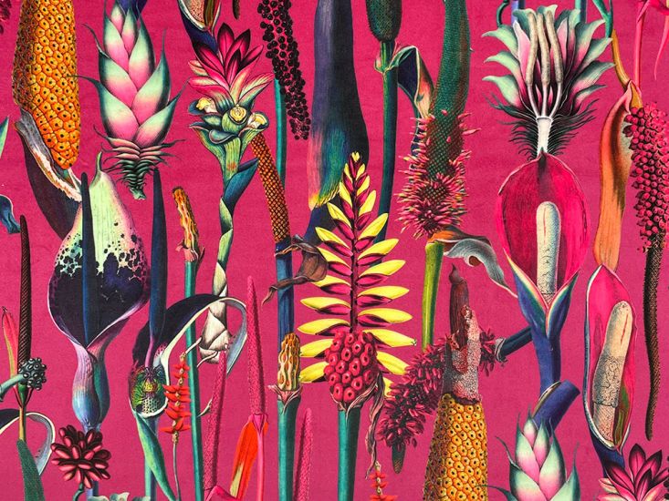 Botanical Wonders Printed Velvet, Hot Pink