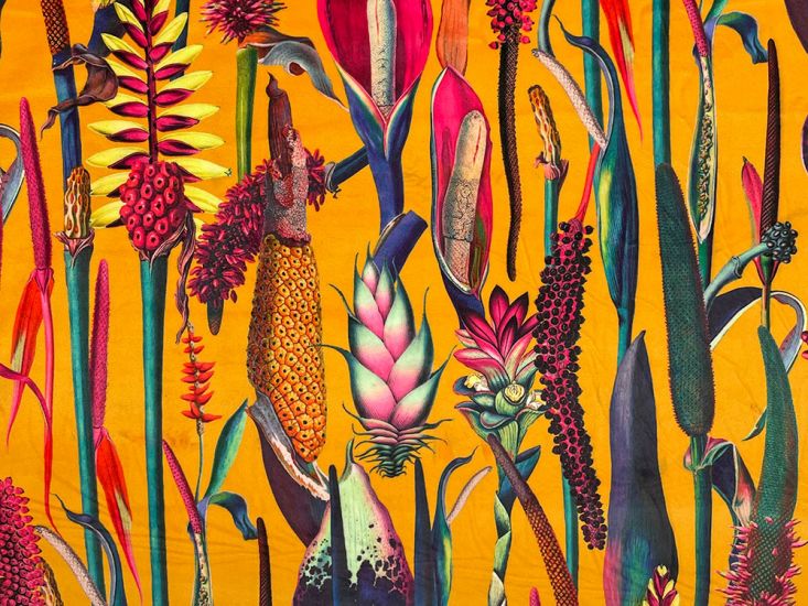 Botanical Wonders Printed Velvet, Sunburst