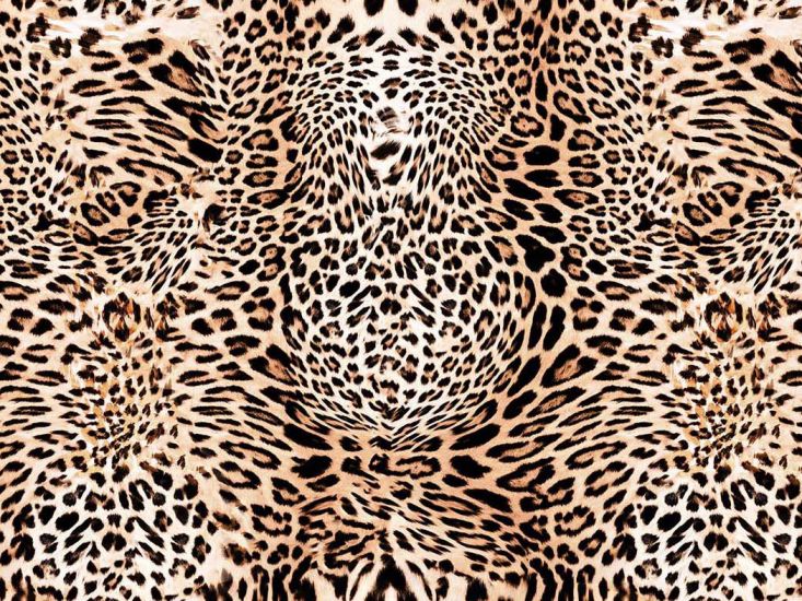 Craft Collection Cotton Print, Animal Magic Cheetah