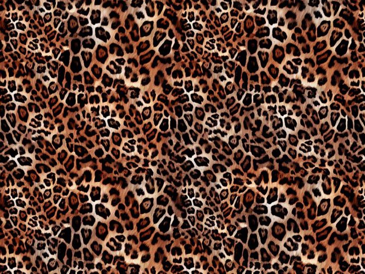 Craft Collection Cotton Print, Animal Magic Leopard