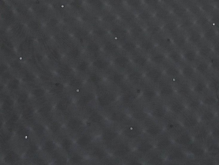 Glitter Spots Net With Diamante, Black