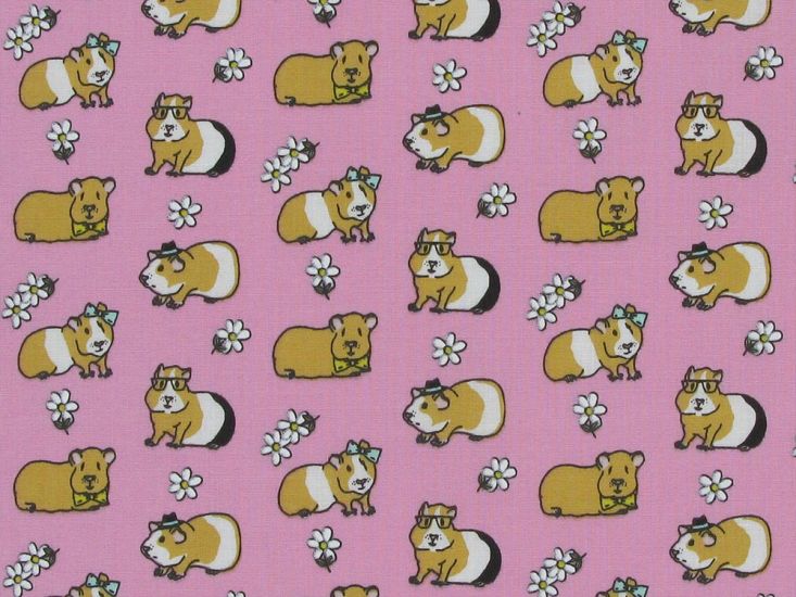 Guinea Pig Daisy Polycotton Print, Pink