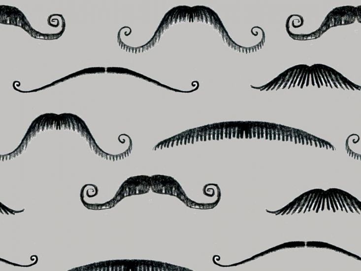 Mens Grooming Cotton Print, Moustaches