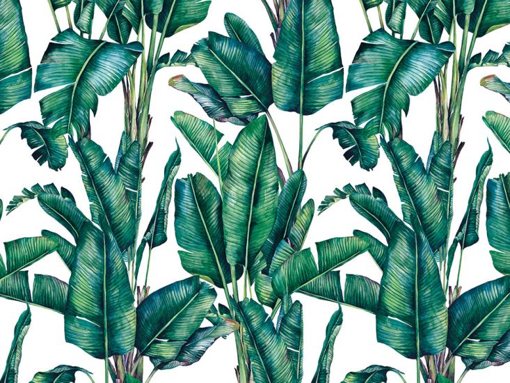 Paradise Palm Printed Velvet, Natural