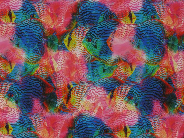 Rainbow Angelfish Viscose Challis Print