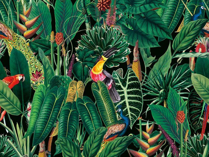 Tropical Rainforest Printed Velvet, Black