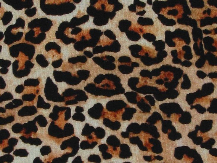 Wild Leopard Cotton Jersey Print