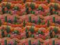 3D Fantasy Cotton Print, Cacti, Pink
