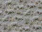 3D Fantasy Cotton Print, Christmas Polar Bears