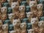 3D Fantasy Jersey Print, Alpacas