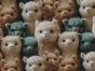 3D Fantasy Jersey Print, Alpacas