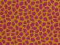 Electric Safari Giraffe Cotton Print, Cerise