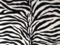 Premium Soft Anti-Pil Fleece, Zebra