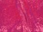 Fishscale Hologram Sequin - Fuchsia