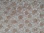 Scalloped Edge Floral Sequin Lace, Peanut