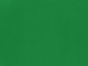 Plain Polyester Lining - Emerald Green