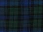 Raw Silk Noile Tartan, Green