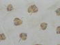 Autumn Leaves Printed Muslin