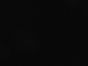 Cardozo Premium Cotton 13.5oz Denim, Jet Black