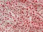 Christmas Foil Print Organza, Candy Canes