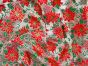 Christmas Foil Print Organza, Poinsettia