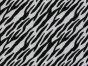 Electric Safari Zebra Cotton Print, Black