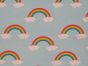 Cotton Rich Panama Canvas Rainbow Clouds, Sky