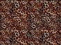 Craft Collection Cotton Print, Animal Magic Leopard