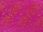 Haujin Chinese Brocade, Cherry Blossom, Fuchsia