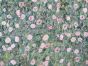 Klimts White Roses Soft Handle Water Repellent Outdoors Fabric