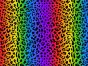 Leopard Rainbow Stripes Cotton Print