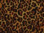 Leopard Viscose Challis Print, Brown