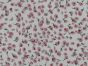 Lily Dance Viscose Print, White