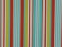Heavy Cotton Printed Panama, Stellar Stripe, Spice