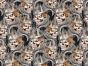 Monarch Skull Cotton Print