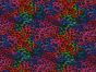 Neon Safari Cotton Poplin Print, Rainbow
